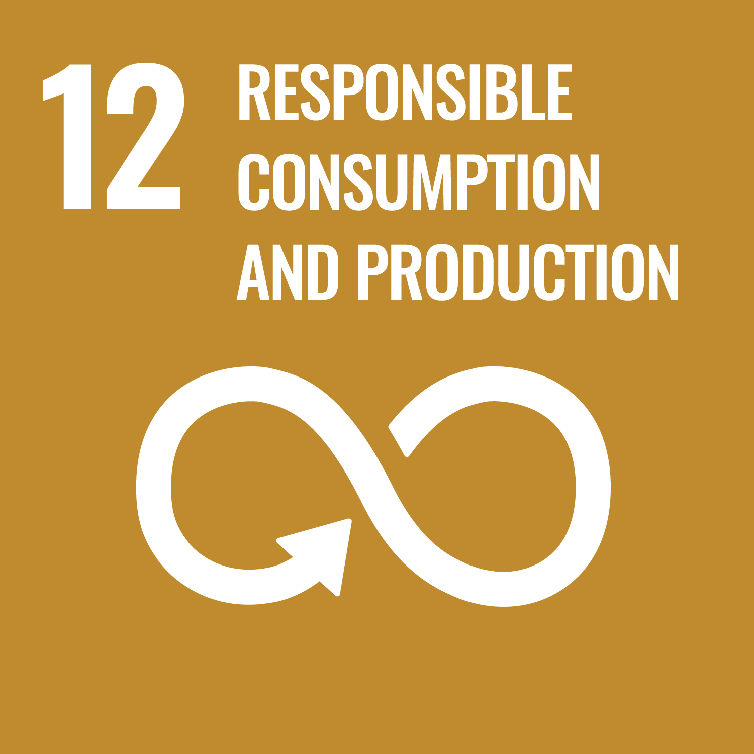 SDG_Responsible_Consumption_Production